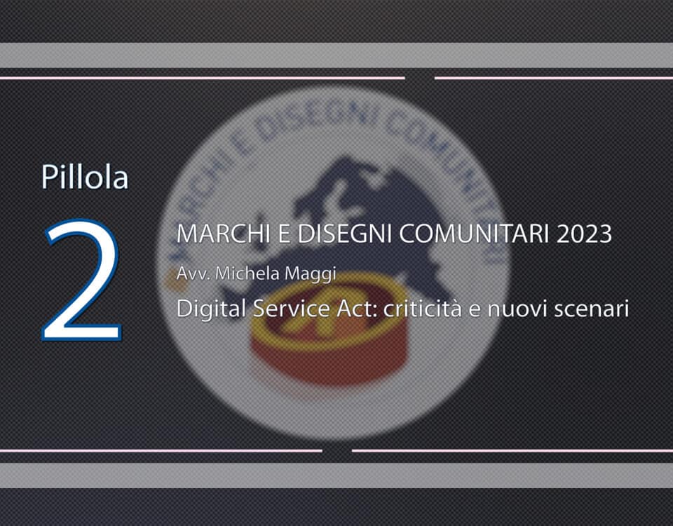 Pillola video Digital-service-act