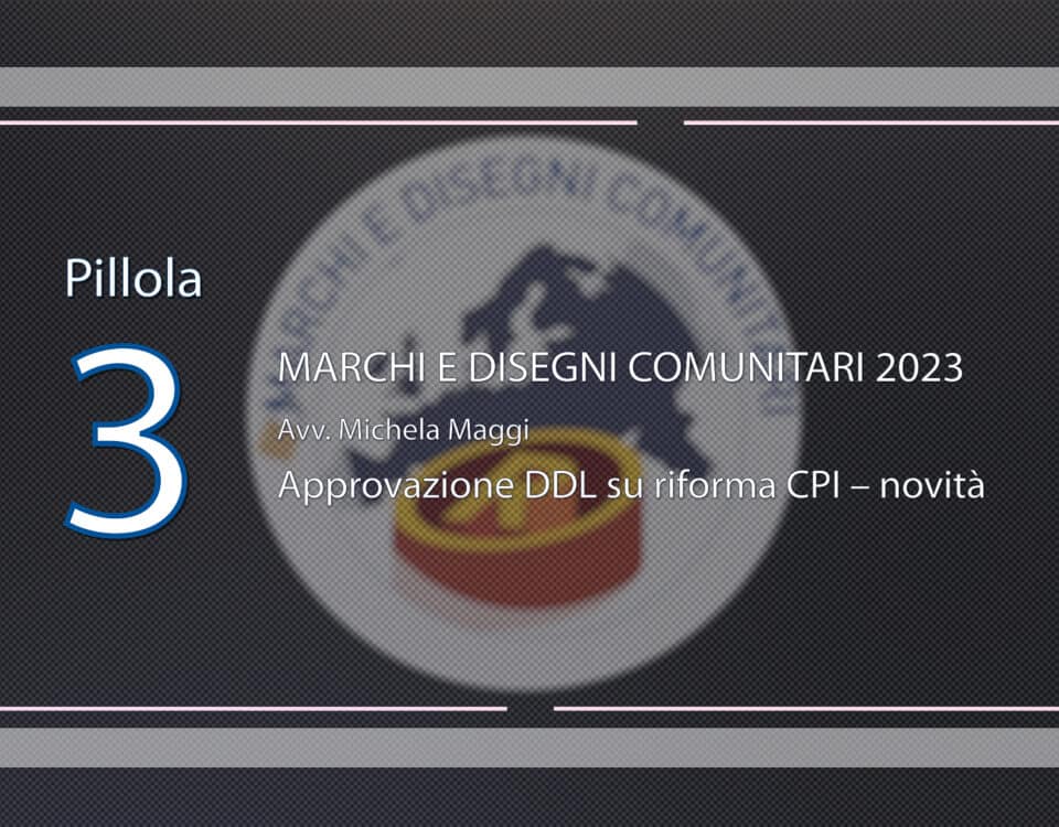 Pillola video DDL-riforma-CPI