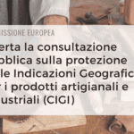 consulatazione-ue-cigi